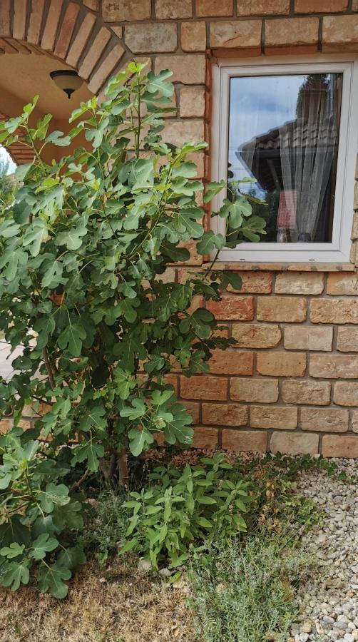 Mediterrania Apartment Keszthely Ngoại thất bức ảnh