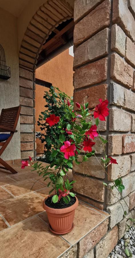 Mediterrania Apartment Keszthely Ngoại thất bức ảnh